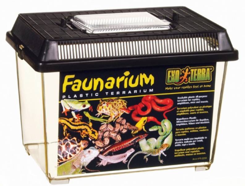Preview: Exo Terra Faunarium